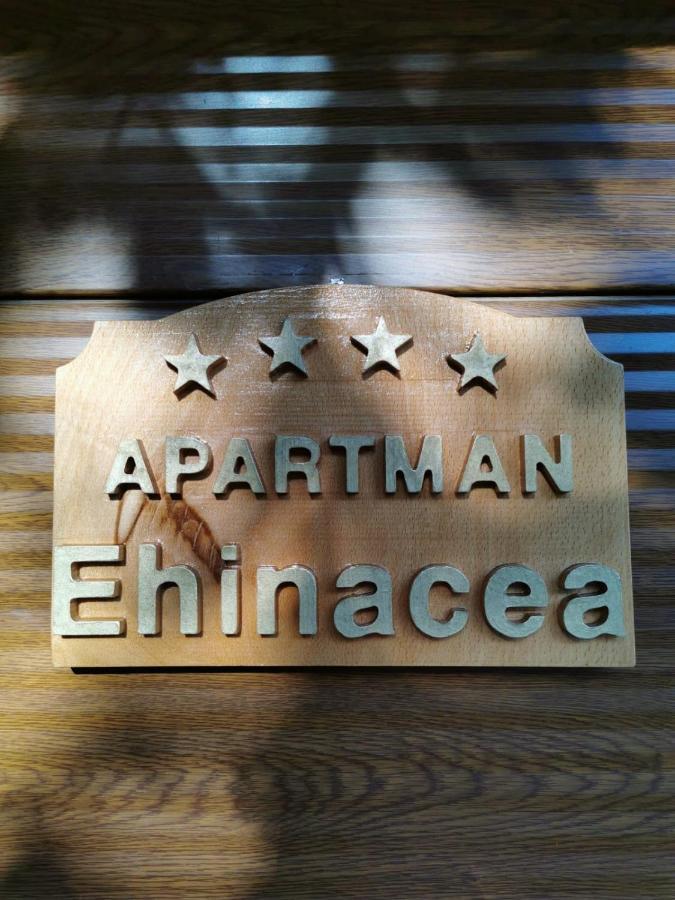 Ehinacea Apartment Rtanj Exterior photo